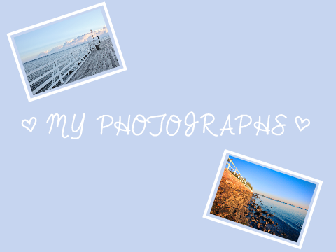 ♥ My Photographs ♥