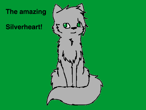 Silverheart (New Warrior Cat Charater!)