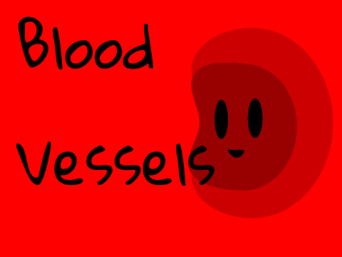 Blood Vessels