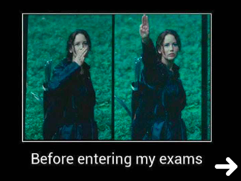 Hunger Games Memes