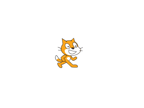 the flash cat