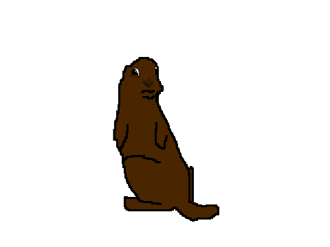 Dramatic beaver (memes)