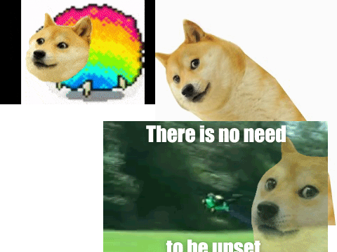 DOGE!!!!! prt 2