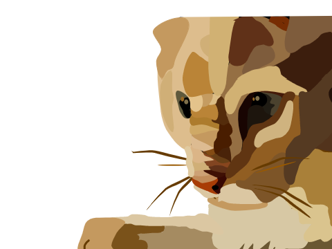 Blockshade of A Cat