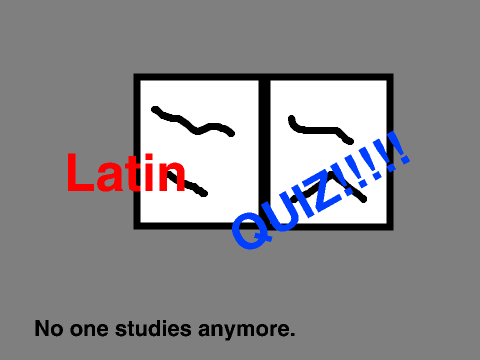 Latin QUIZ ;)