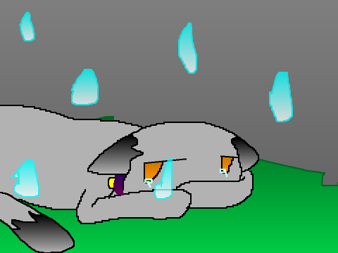 but i don't even know what i did wrong! - CC entry