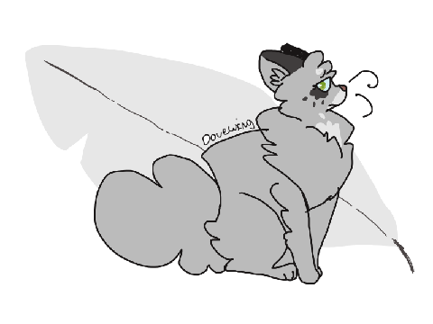 Dovewing