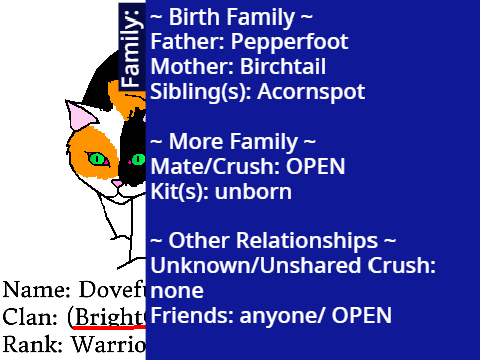 Adult Cat Bio: Dovefur of BrightClan