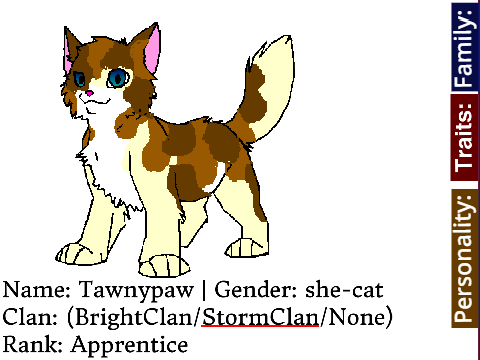 Apprentice Bio: Tawnypaw of StormClan