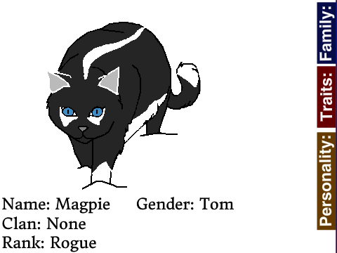 Magpie: Rogue Who is Searching