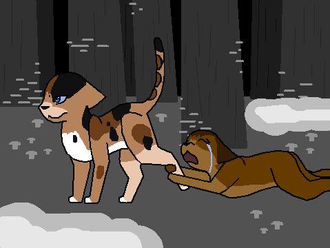 They Forgot About Houndfang