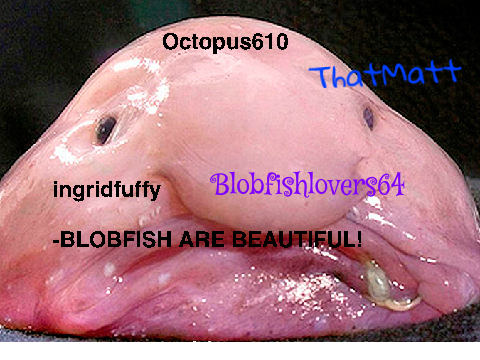 Sign here if your against blobfish hunting  remix remix remix