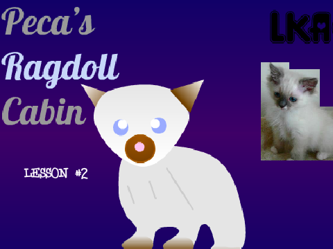 || Lesson 2 || RAGDOLL CABIN