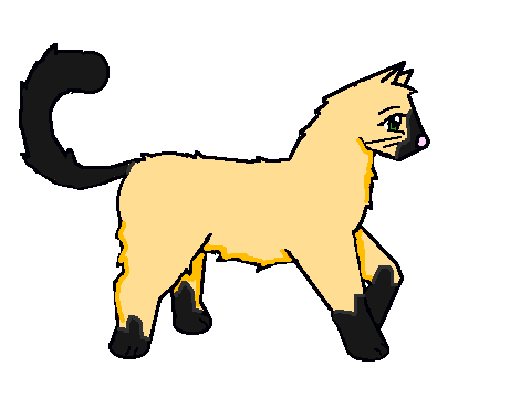 Squirrel for bruneydog's RPG! :D