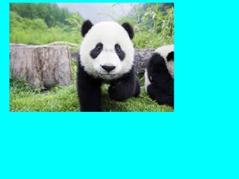 Mmm yeah - AUSTIN MAHONE-  with pandas