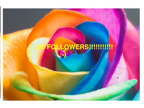 80 FOLLOWERS???????????????