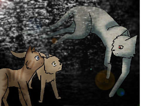 ♦Come CC♦ Entry!