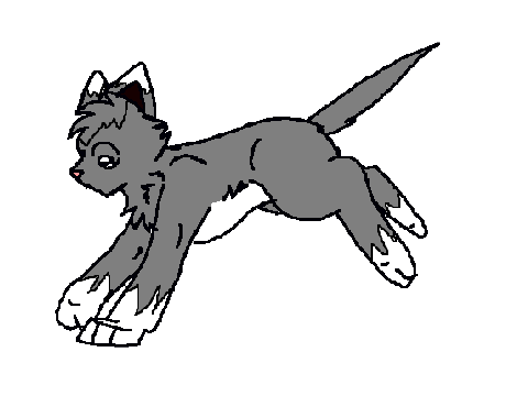running Graystripe!!