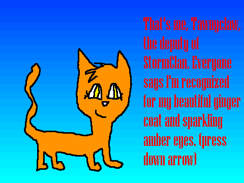 StormClan Bios.