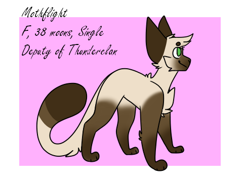 Mothflight Oc Ref Sheet - Two Sisters Ref