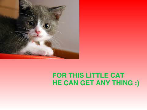 xxcatloverxx gift :)