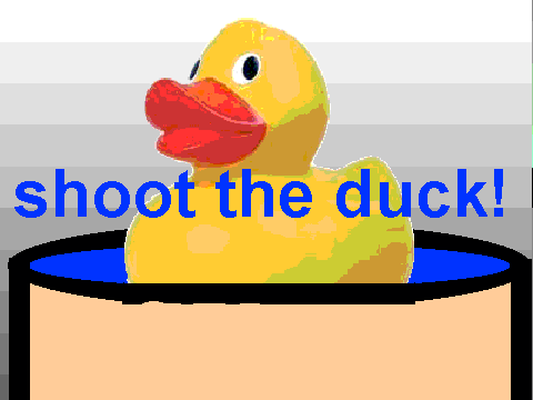 duck shooter