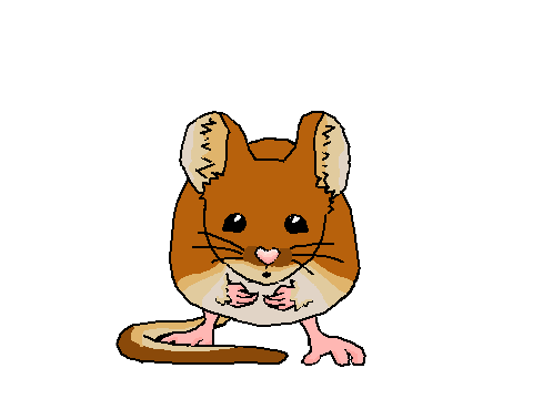 i drew a mouse
