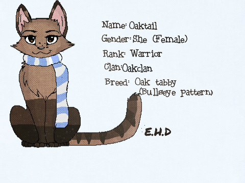 ♥Warrior Cat Contest Entry♥