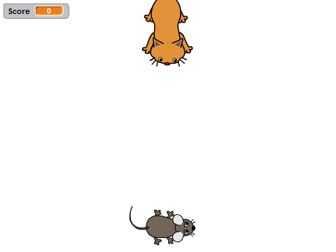 Cat and Mouse
