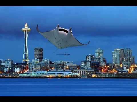 Hello Seattle-----