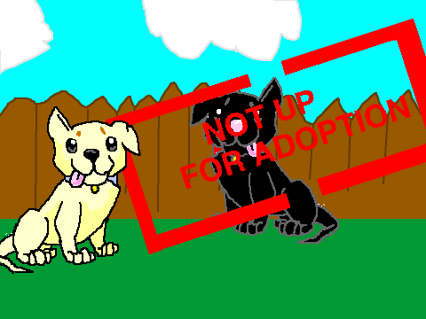 Loki's Adoption Center-Draft-