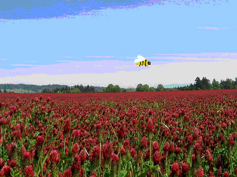 Bumbling Bee