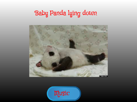 Panda mania