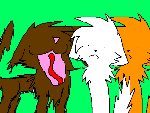 ...........I HAVE GONE CRAZY!!!!!!!!!!!!!!!!!!!!!!!!!!!!!!!