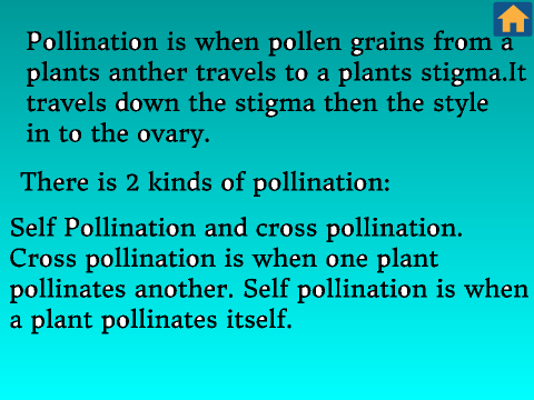 Plants