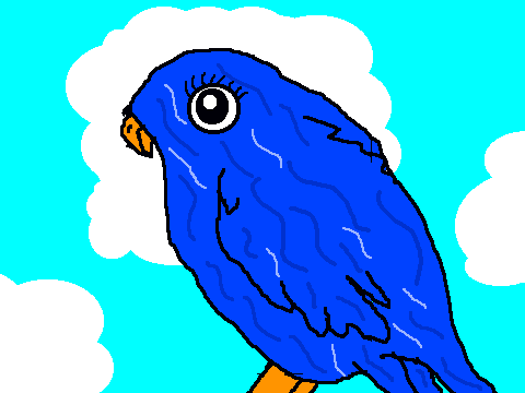 Bird Coloring Contest entery