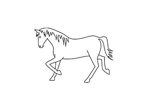 Horse CC 