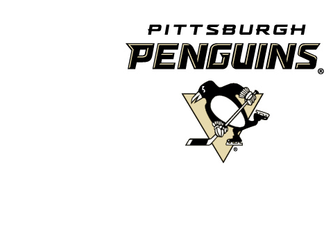 pittsburg penguins!
