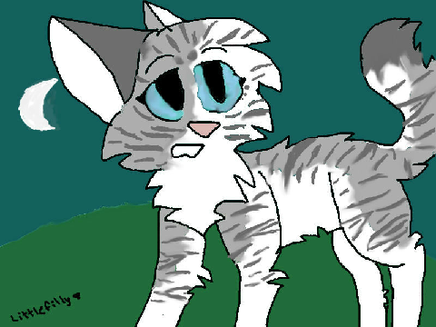 Draw A Cat From Warriors Contest Entry- Ivypool
