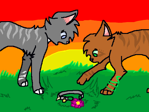 -Curiosity of Shalekit and Wiltedpaw-
