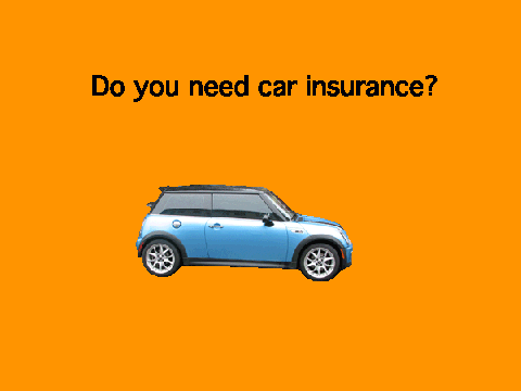 The best car insurance!