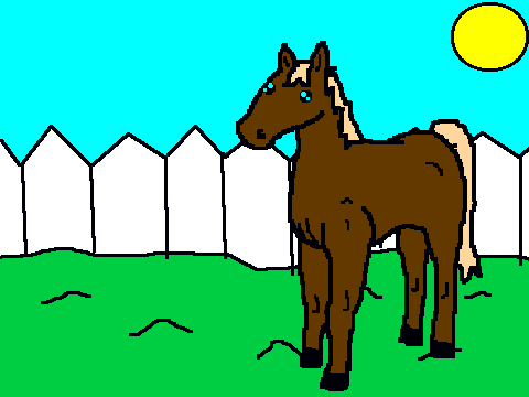 MyHorse 5 Colouring Ideas!