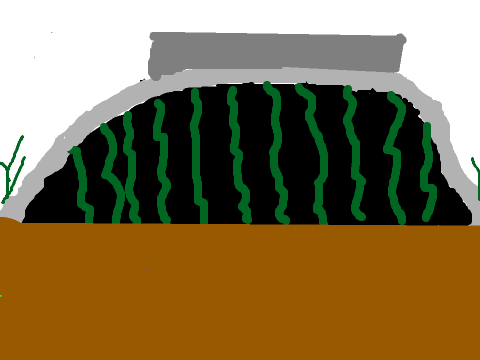 the leader's den in warriors