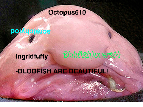 Sign here if you're against blobfish hunting!!!!!!!! remix