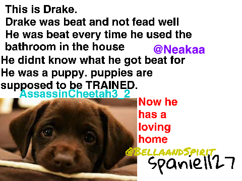 Sign if you hate animal abuse remix remix remix