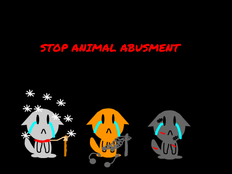 Stop Animal Abusment!