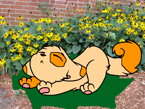 Stretching cat CC remix-2