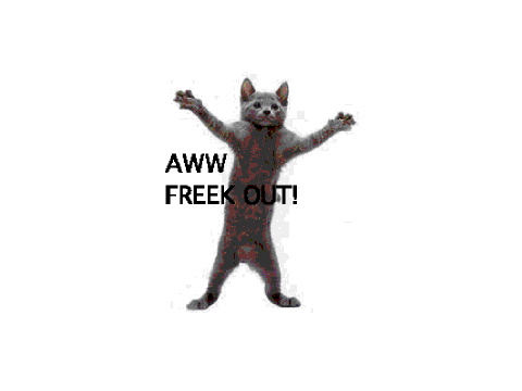 cute pictures! (super funny)