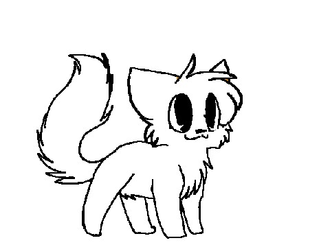  kitty CC