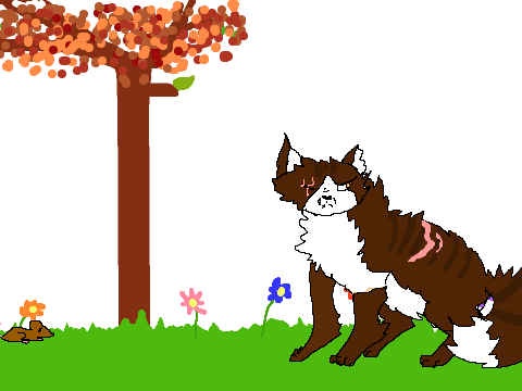 My first animation!